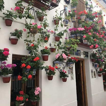 Apartamento El Rincon De La Verdad Córdoba Kültér fotó