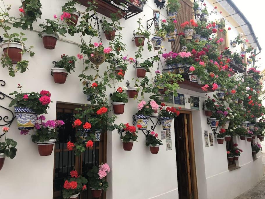 Apartamento El Rincon De La Verdad Córdoba Kültér fotó
